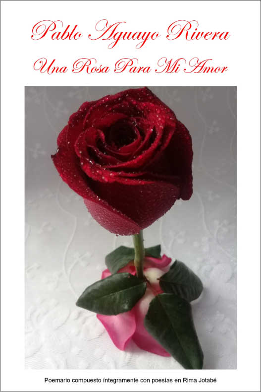 Una rosa para mi amor